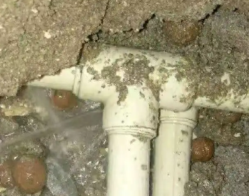 赤坎测漏水多少钱