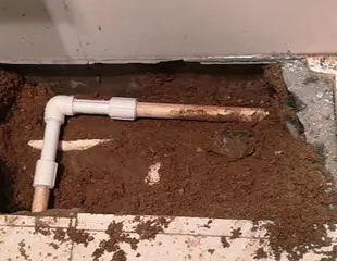 赤坎测漏水哪家好