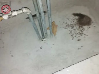 赤坎卫生间测漏水价格明细