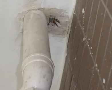 赤坎漏水检测哪家好